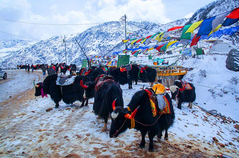 img/gangtok-a.jpg